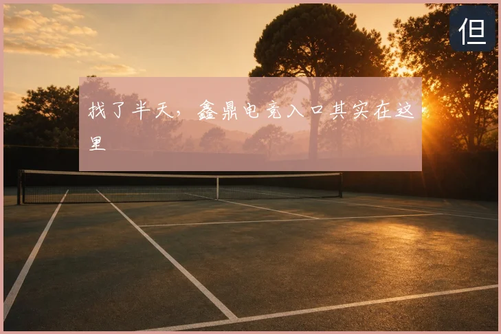 找了半天，鑫鼎电竞入口其实在这里
